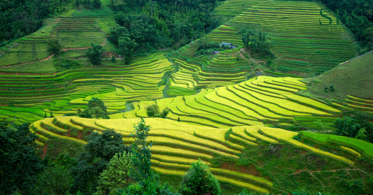 Hà Giang.png