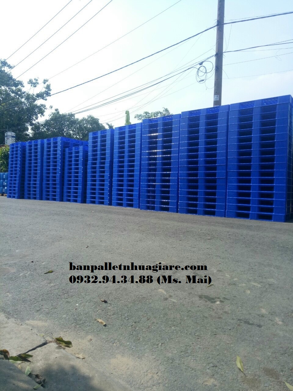 Bán pallet nhựa giá rẻ cạnh tranh, liên hệ 0932943488 (24/7)