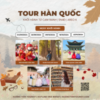 Hàn quốc 317.png